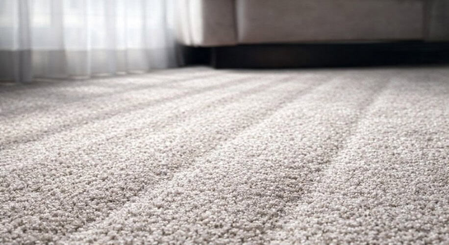 limpiar manchas de alfombra