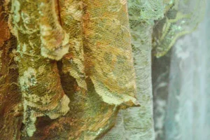 Fotografía con enfoque al Moho en cortinas por una mala ventilación en el hogar
